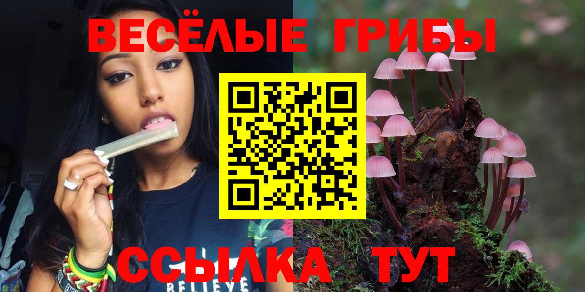 Псилоцибиновые грибы Psilocybe  Псилоцибиновые грибы GOLDEN TEACHER  Вход с VPN  где найти   Нарткала 