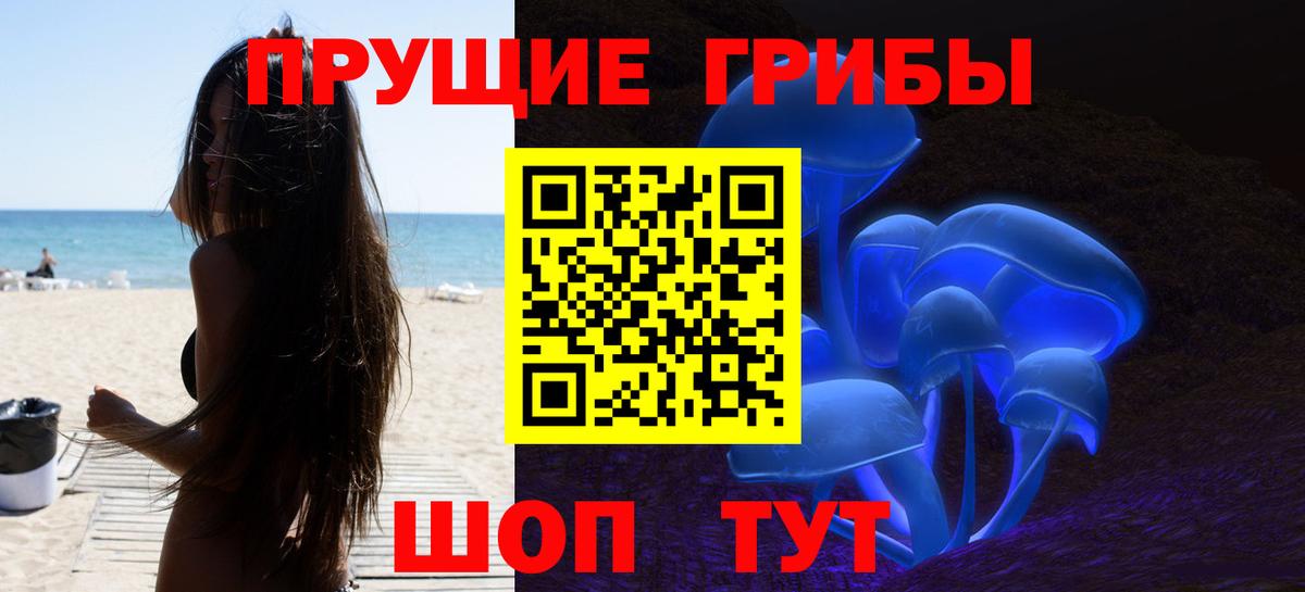 Галлюциногенные грибы Psilocybine cubensis Нарткала